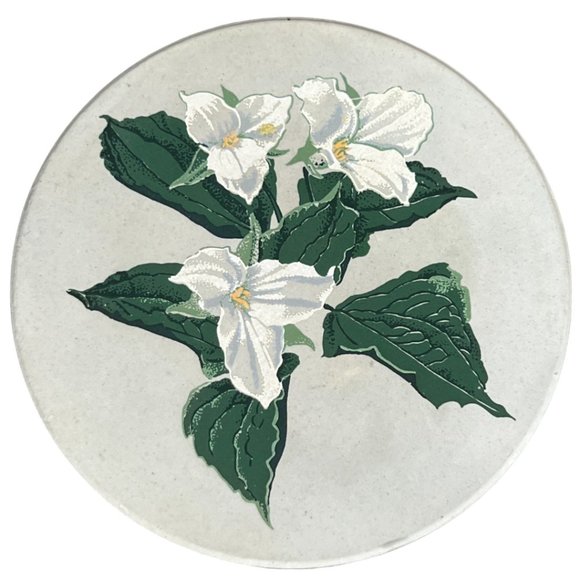 Vtg CoasterStone Sandstone Flower Coasters Set of 4 in Box Floral 4.25" diameter - Picture 9 of 14